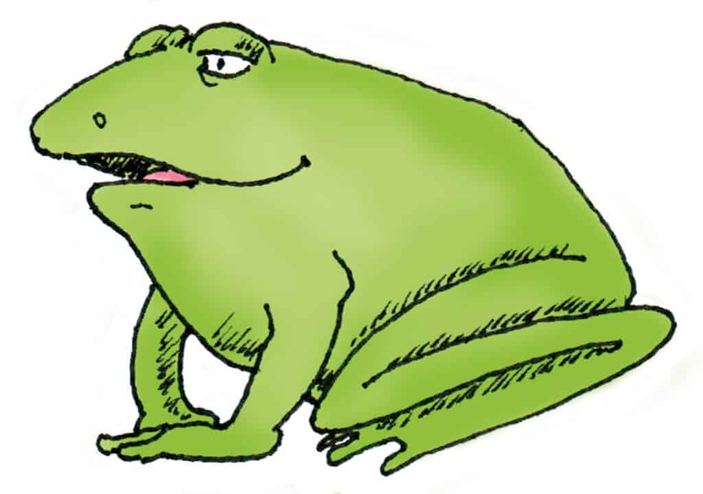 Frosch