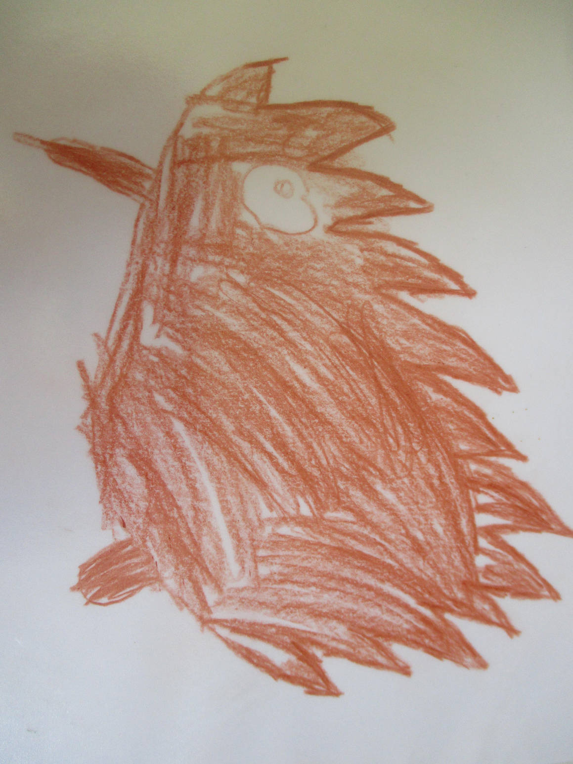 Igel