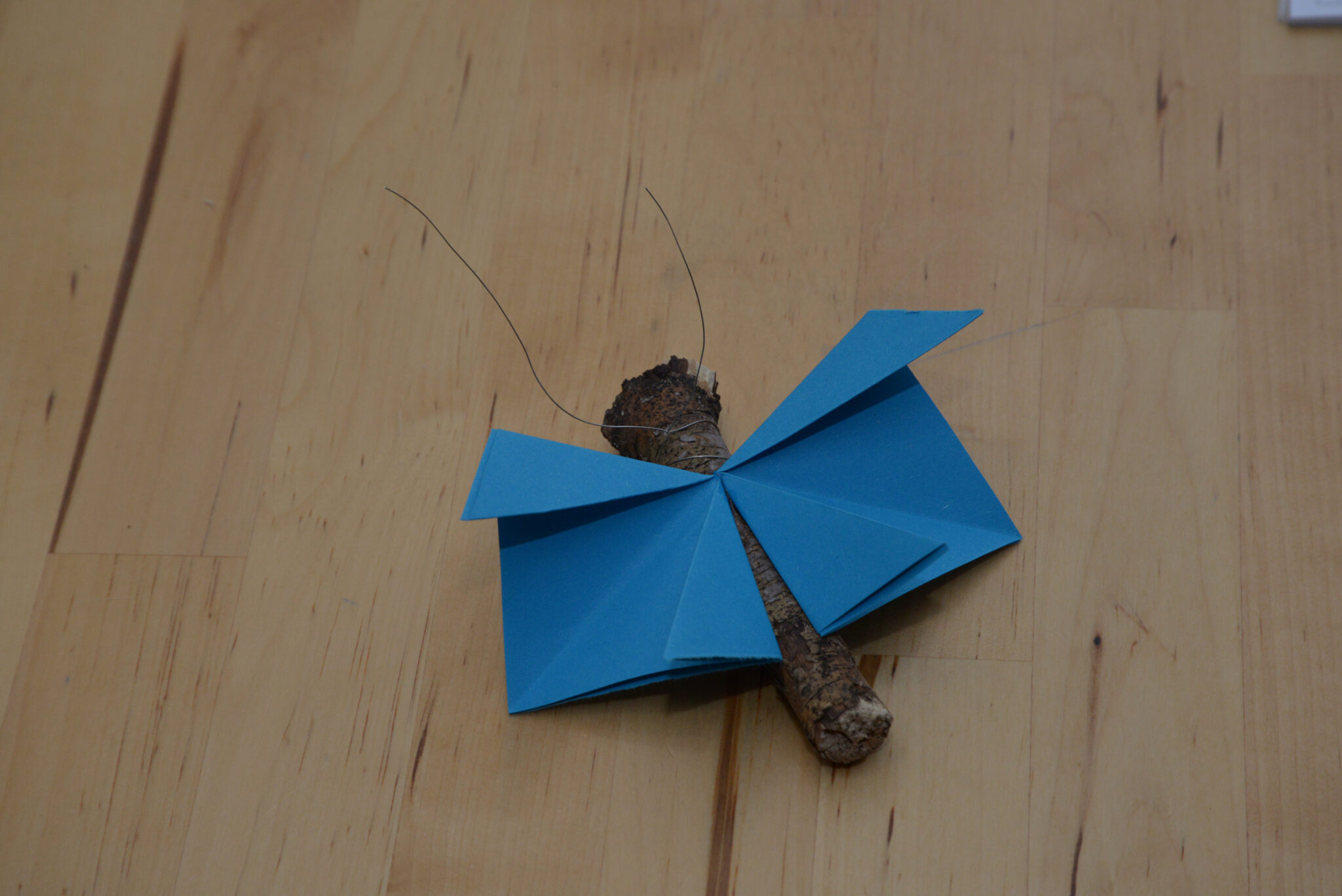  Foto zu Schmetterlinge mit Kindern basteln 